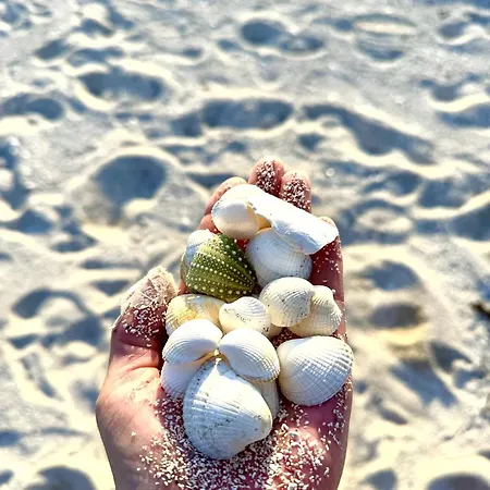 Vag Helgeland - Solbakken Oda ve Kahvaltı 3*