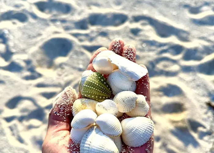 Våg Helgeland - Solbakken Bed & Breakfast 3*