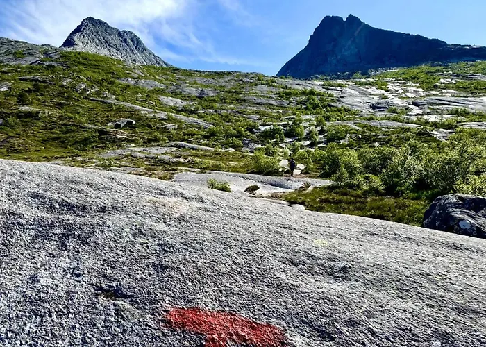 Vag Helgeland - Solbakken Alstahaug