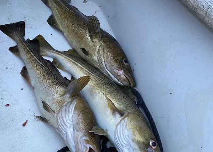 Våg Helgeland - Solbakken Bed & Breakfast 3*