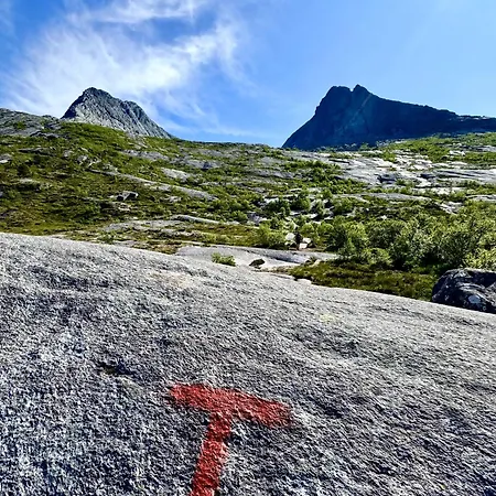 Vag Helgeland - Solbakken Alstahaug